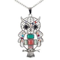 Womens Owl Colourful Pendant & Necklace with a Long Chain