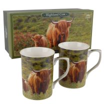 Set of 2 China Mugs Highland Cow 'Coos' Design Gift Box