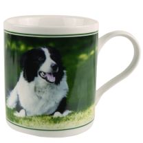 Fine China Collie MUG/CUP by Cachet Farmyard Collection Sheep Dog Gift Boxed